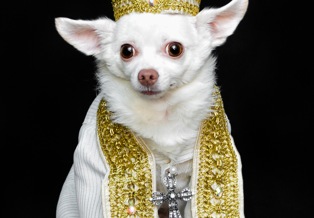Heavenly Doggies: Anthony Rubio's Met Gala Tribute in Canine Couture